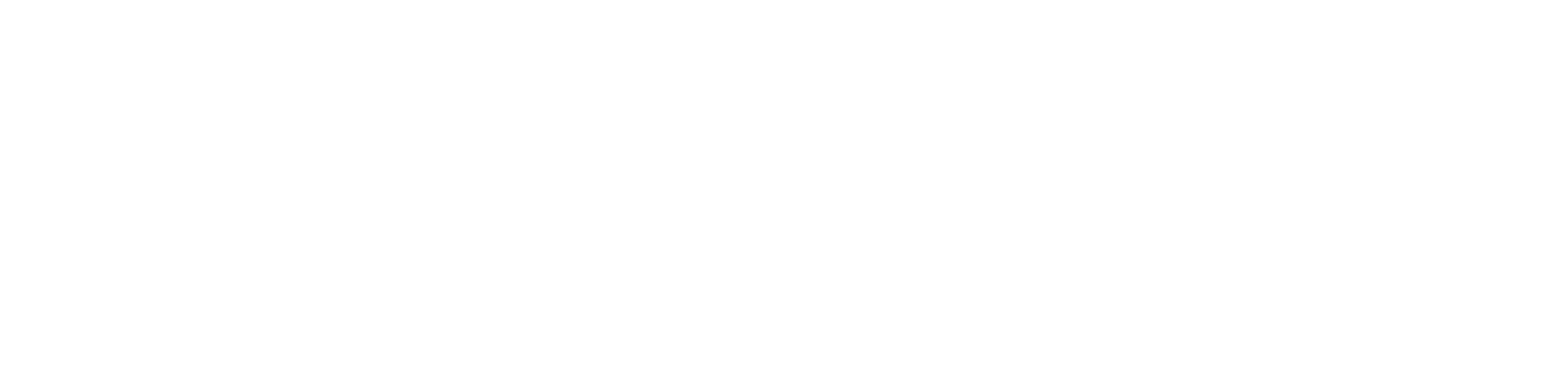 Istanbul Property Services
